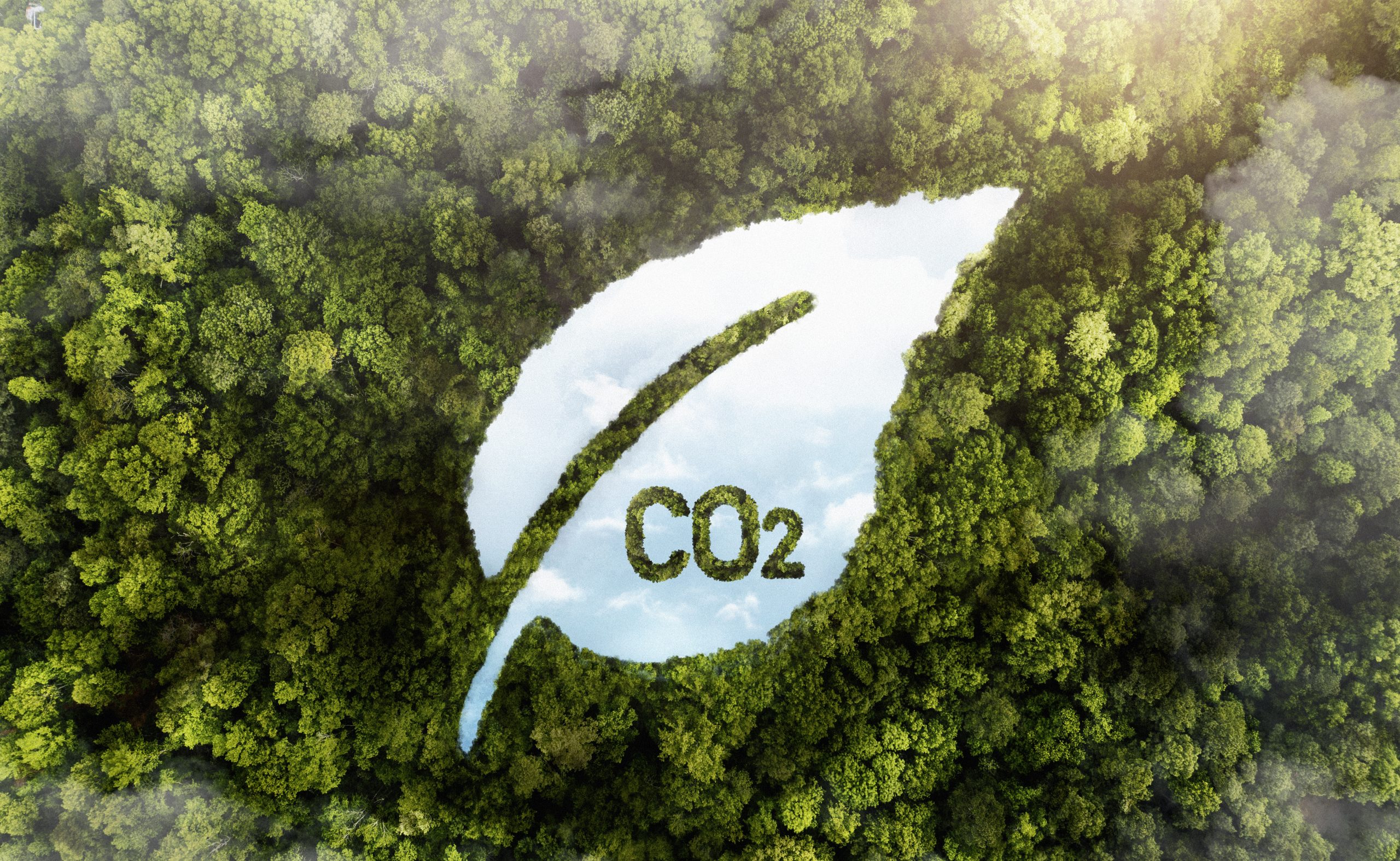 Ilustración de un bosque con una hoja verde y el símbolo CO₂ que representa la reducción de emisiones de carbono y la sostenibilidad ambiental.